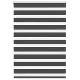 Vidaxl Zebra roller blind 105x150 cm Fabric width 100.9 cm Black