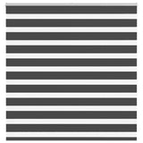 Vidaxl Zebra Roller Blind 140x150 cm Šířka prachu 135,9 cm černá
