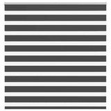 Vidaxl Zebra roller blind 150x150 cm dust width 145.9 cm black