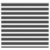 Vidaxl zebra Roller Blind 155x150 cm Šířka prachu 150,9 cm černá