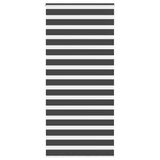 Vidaxl Zebra roller blind 100x200 cm dust width 95.9 cm black
