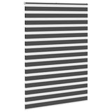 Vidaxl zebra rolgordijn 165x200 cm stofbreedte 160,9 cm zwart
