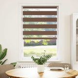 Vidaxl Zebra roller blind 70x150 cm dust width 65.9 cm Polyester Brown