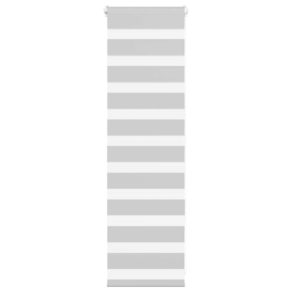 Vidaxl Zebra roller blind 40x100 cm dust width 35.9 cm light gray
