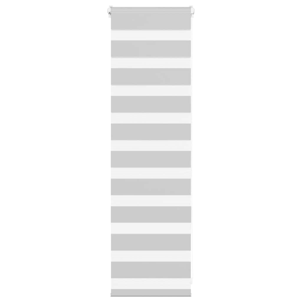 Vidaxl Zebra roller blind 45x100 cm dust width 40.9 cm light gray