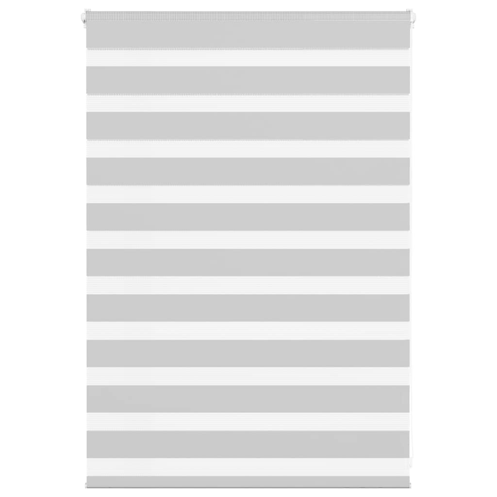 Vidaxl zebra válcový slepý 100x100 cm šířka tkaniny 95,9 cm světle šedá
