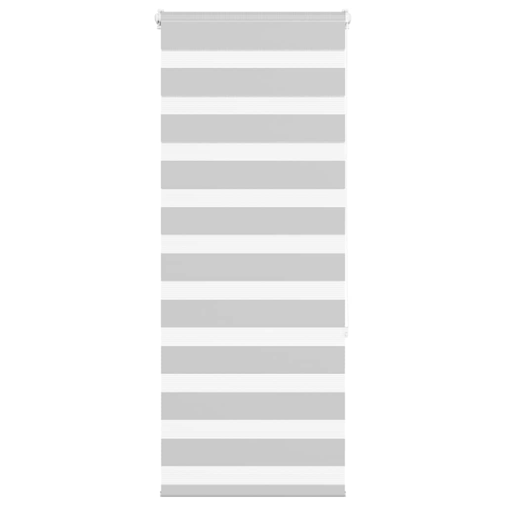 Vidaxl Zebra roller blind 65x150 cm Fabric width 60.9 cm light gray