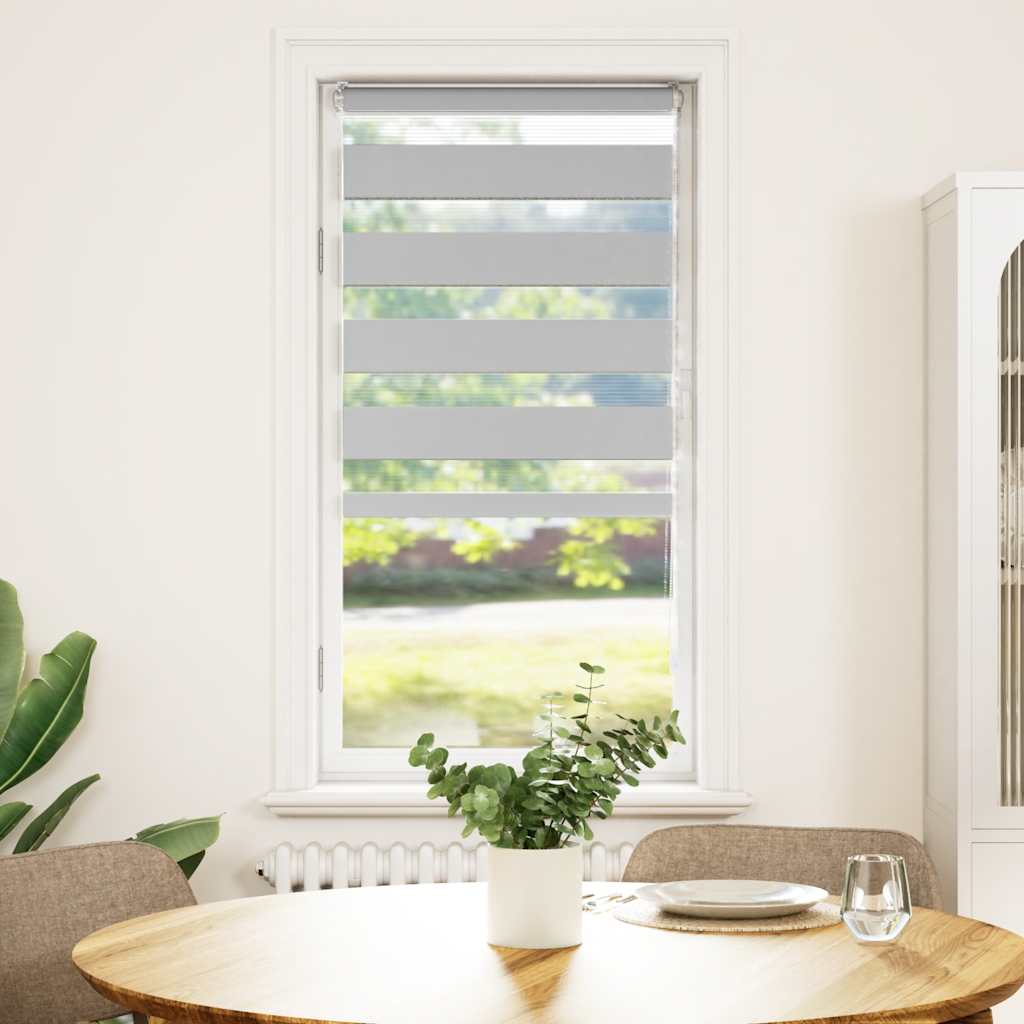 Vidaxl Zebra roller blind 65x150 cm Fabric width 60.9 cm light gray