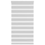 Vidaxl Zebra roller blind 75x150 cm Fabric width 70.9 cm light gray