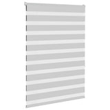 Vidaxl zebra roller slepý 100x150 cm Šířka prachu 95,9 cm světle šedá