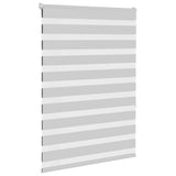 Vidaxl zebra válcový slepý 105x150 cm šířka tkaniny 100,9 cm světle šedá