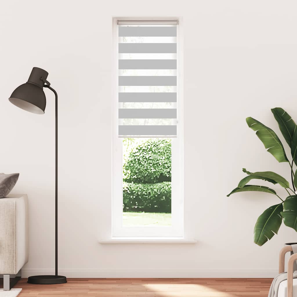 Vidaxl zebra válcový slepý 60x200 cm Šířka prachu 55,9 cm světle šedá