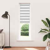 Vidaxl zebra válcový slepý 60x200 cm Šířka prachu 55,9 cm světle šedá