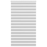 Vidaxl zebra válcový slepý 120x200 cm šířka tkaniny 115,9 cm světle šedá