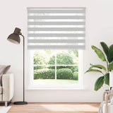 Vidaxl zebra rullo cieco 160x200 cm Larghezza tessuto 155,9 cm grigio chiaro