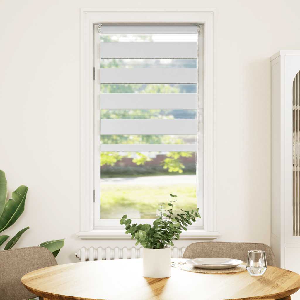 Vidaxl Zebra Roller Blind 65x100 cm Šířka prachu 60,9 cm polyesterová bílá