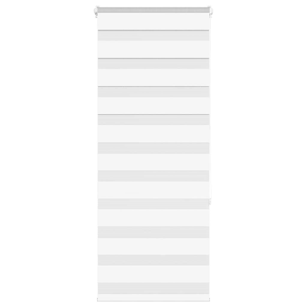 Vidaxl Zebra Roller Blind 55x150 cm Šířka prachu 50,9 cm polyesterová bílá