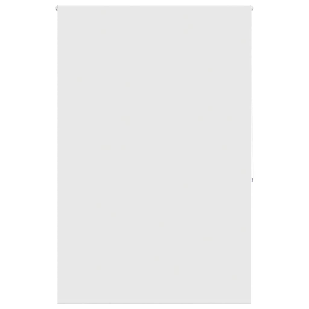 Vidaxl Dochover Rolling Tenda da 150x240 cm Larghezza tessuto 146 cm