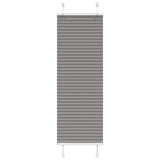 Vidaxl plisovaný válec slepý 50x100 cm Šířka prachu 49,4 cm antracitu