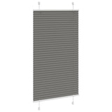 Vidaxl plisovaný válec slepý 80x100 cm Šířka prachu 79,4 cm antracit