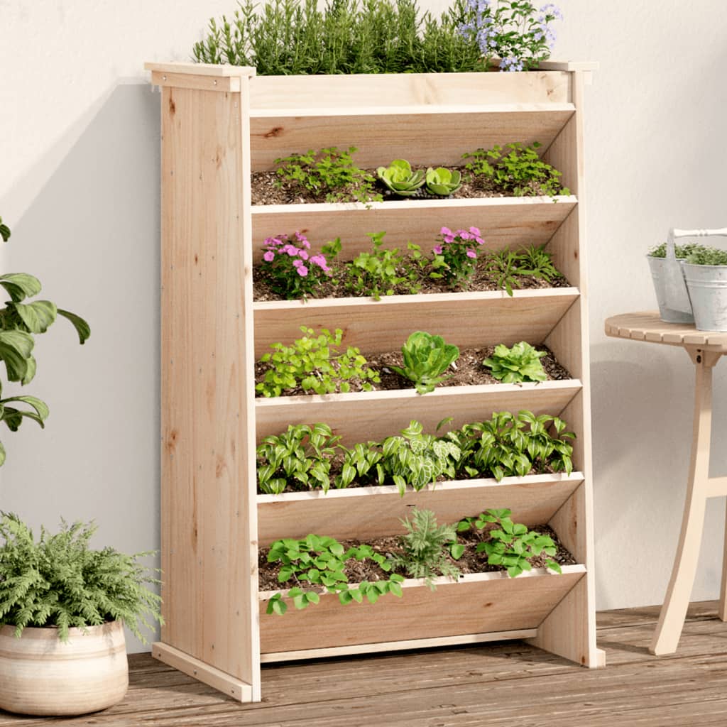 Vidaxl Herb Box 6-Layer 69x40x101,5 cm pevná borovice