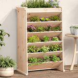 Vidaxl Herb Box 6-Layer 69x40x101,5 cm pevná borovice