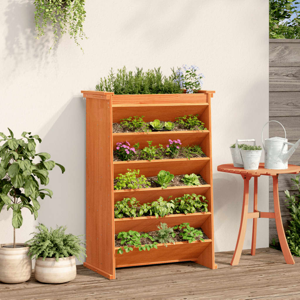 Vidaxl herb box 6-layer 69x40x101.5 cm solid pine wash brown