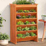 Vidaxl herb box 6-layer 69x40x101.5 cm solid pine wash brown