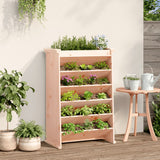 Vidaxl herb box 6-layer 69x40x101.5 cm solid douglashout