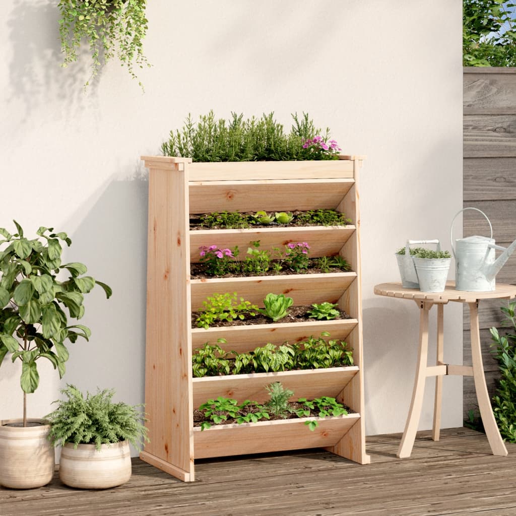 Vidaxl Herb Box 6-Layer 69x40x101,5 cm pevná borovice