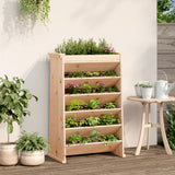 Vidaxl Herb Box 6-Layer 69x40x101,5 cm pevná borovice