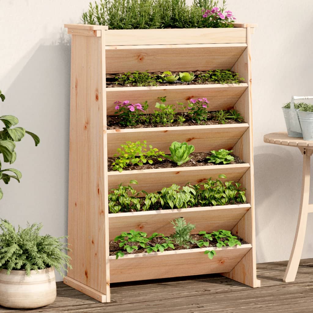 Vidaxl Herb Box 6-Layer 69x40x101,5 cm pevná borovice