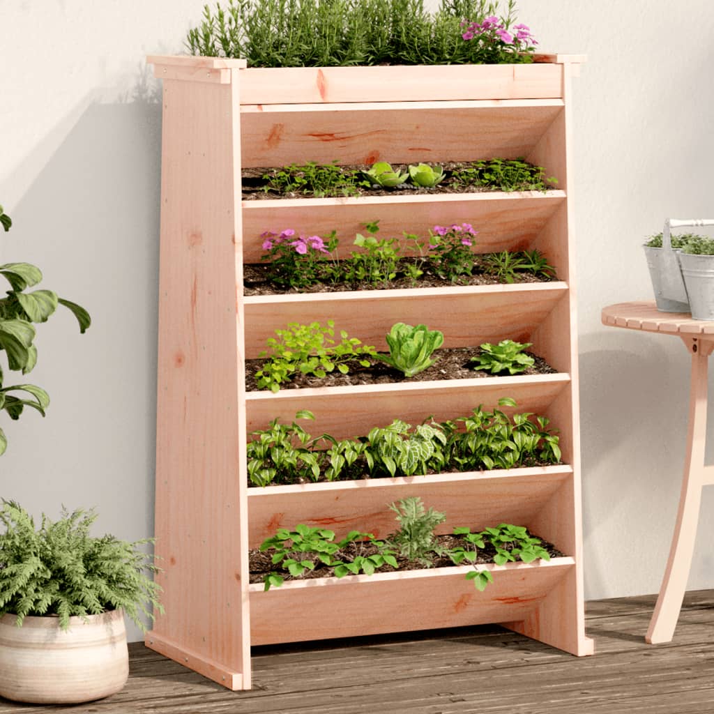 Vidaxl Herb Box 6-Layer 69x40x101,5 cm solidní Douglashout