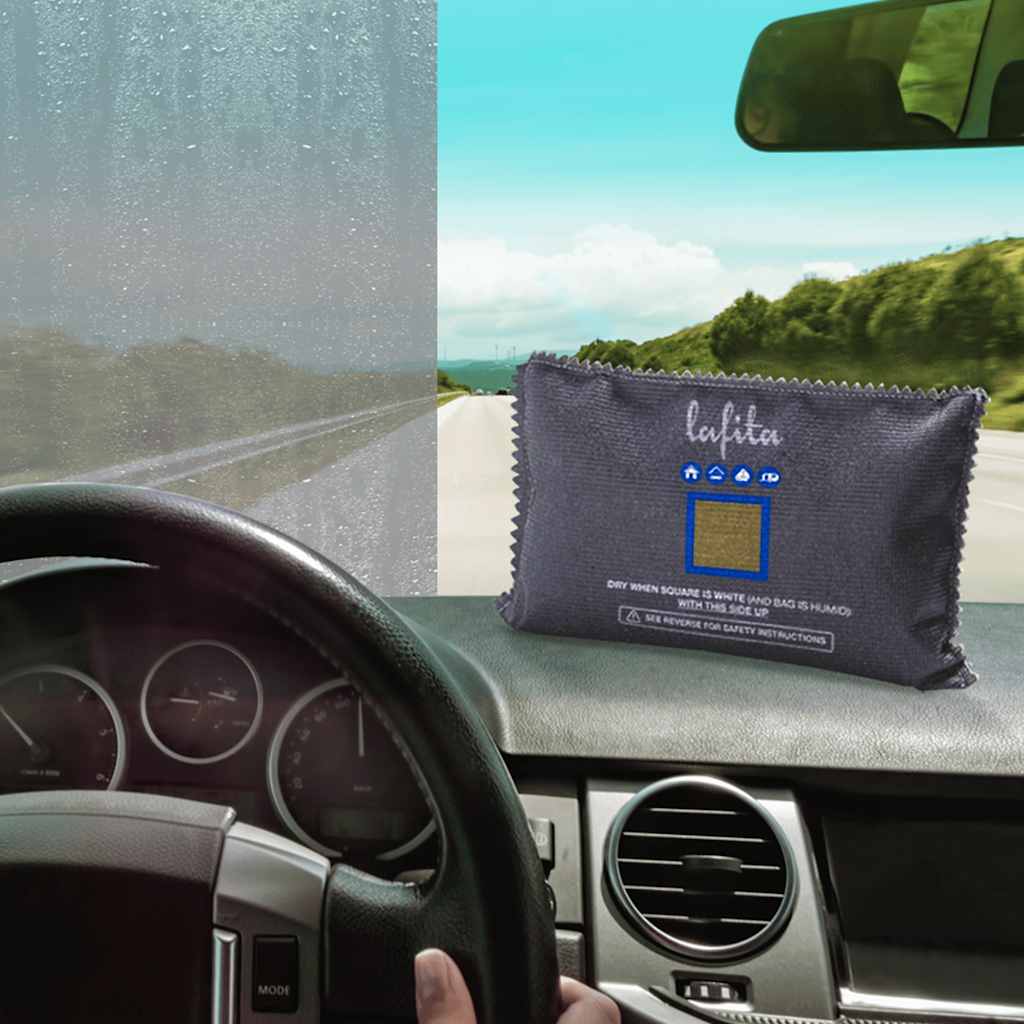 Vidaxl dehumidifiers for car reusable 2 pcs 400 g