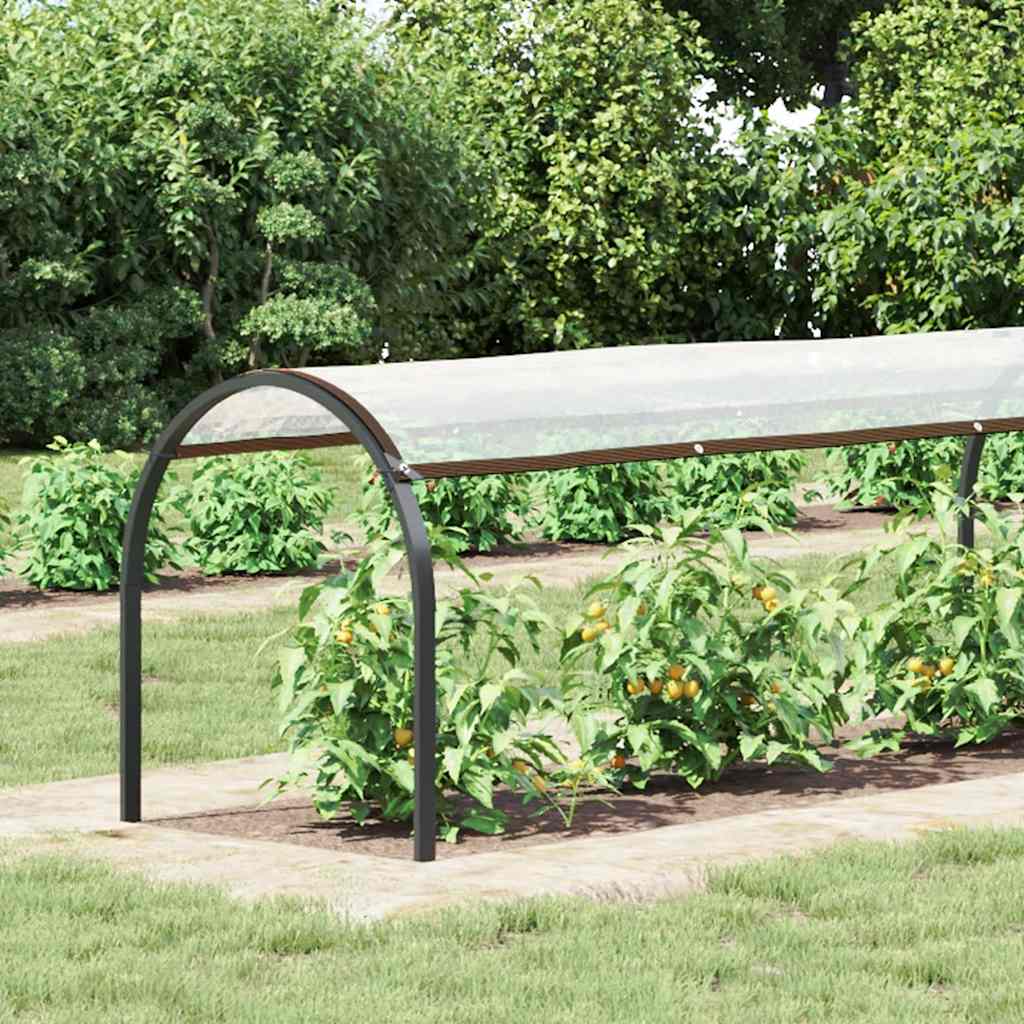 Vidaxl transparent tarpaulin with sail rings 1x6 m polyethylene