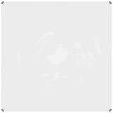 Vidaxl transparent tarpaulin with sail rings 2x2 m PVC