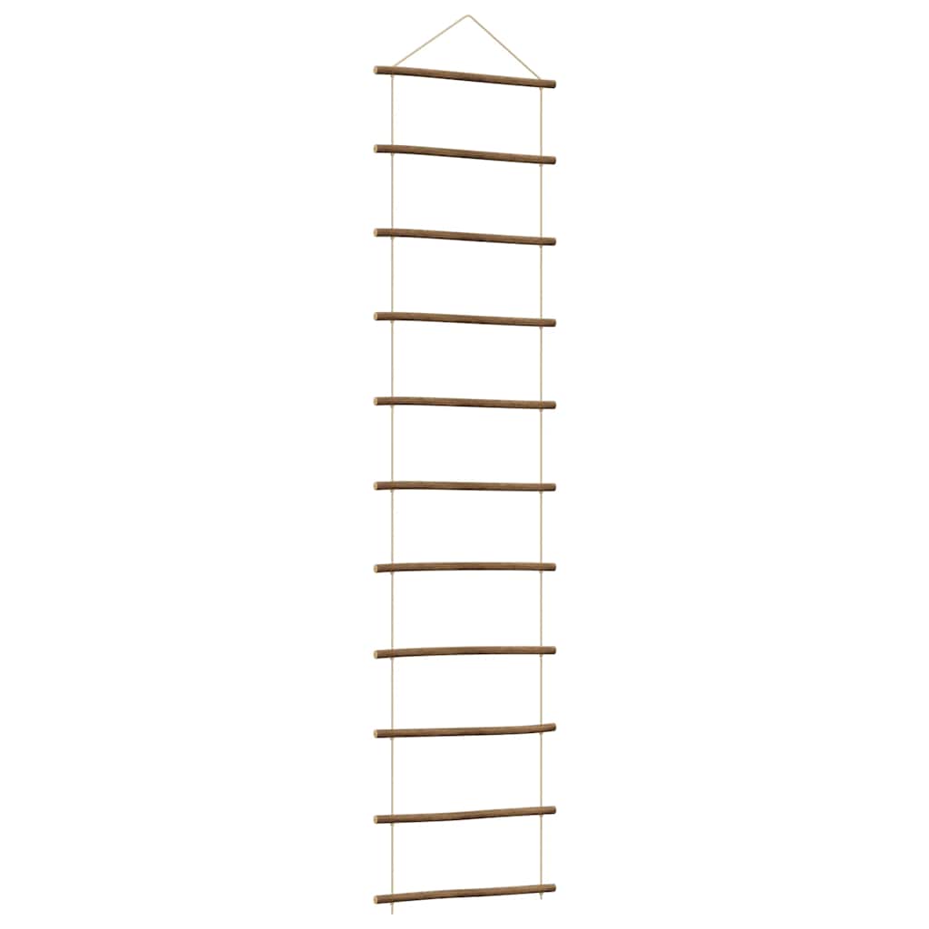 Vidaxl Wanddekorationsleiter -50 x 200 cm Naturalz