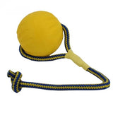 Starmark Swing 'n Fing Durafoam Fetch Ball ar chorda