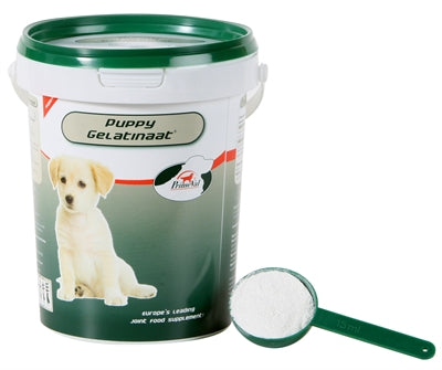 Primeval gelatinate puppy