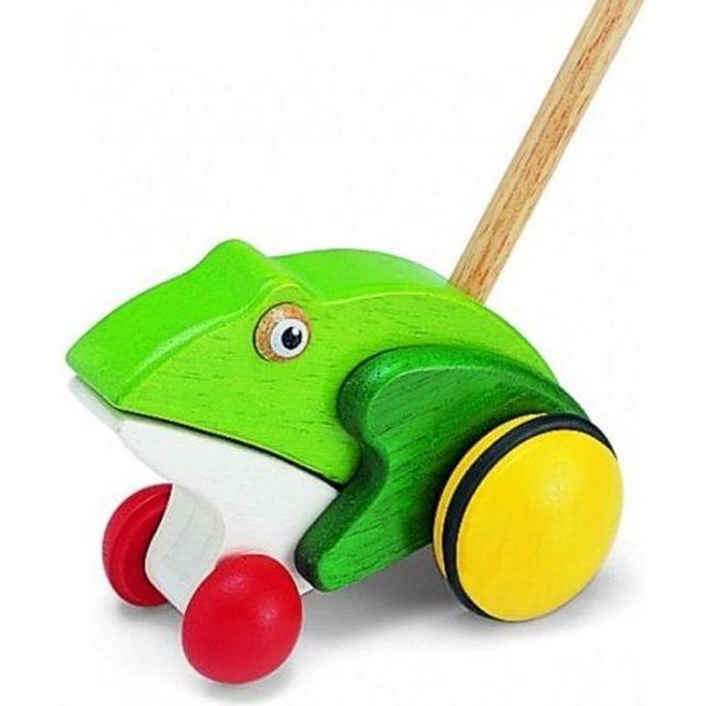 Pintoy Pintoy Wooden Duwstok Frog
