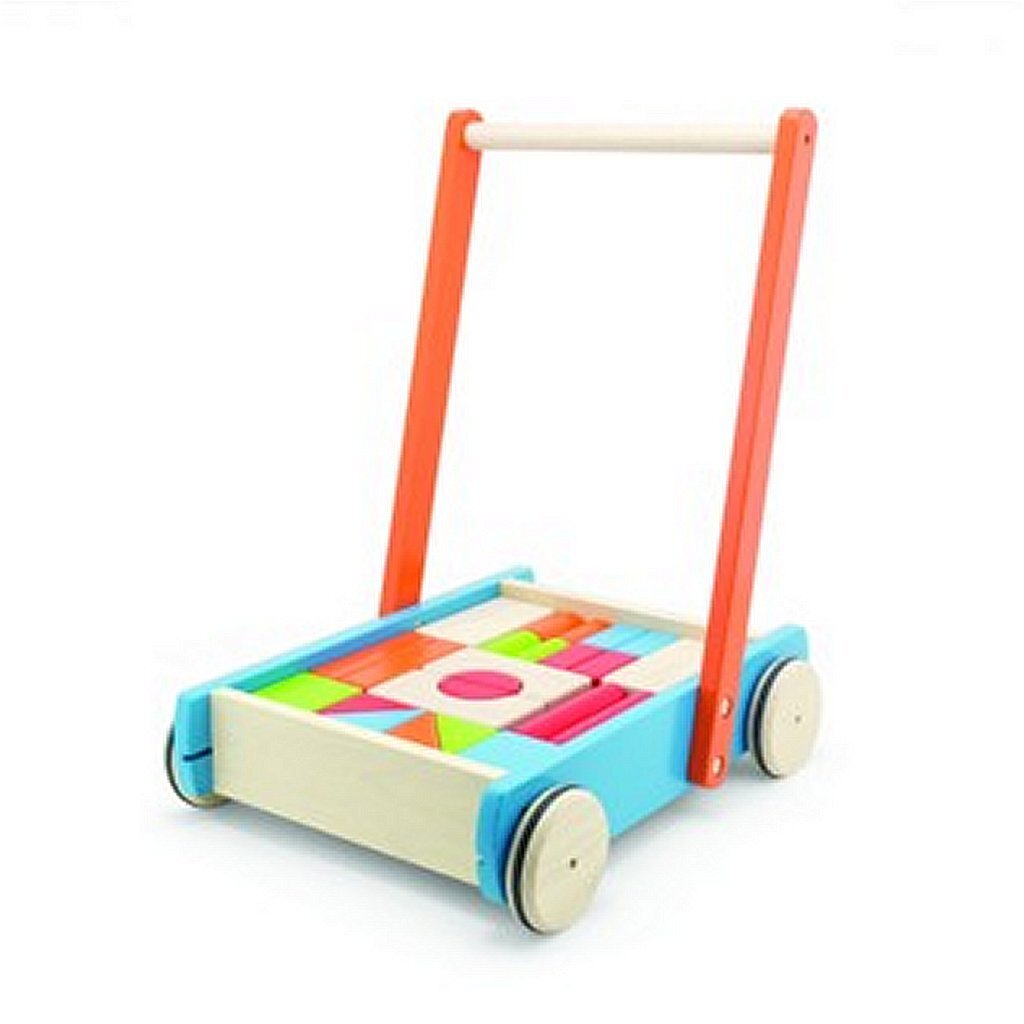 Pintoy Baby Walker Push Wagon s bloky