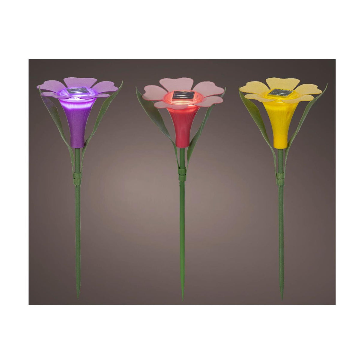 Lumineo solar plug-in lamp flower plastic ø10xh30cm
