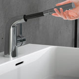 Eisl Waschlbe Mixer Cool mit Eagle Function Chrom -gelenkt
