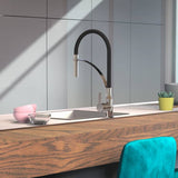EiSl EiSl-Küchenmixer mit Soft-Touch-Ausgabe Carneo Schwarz Chromfarben