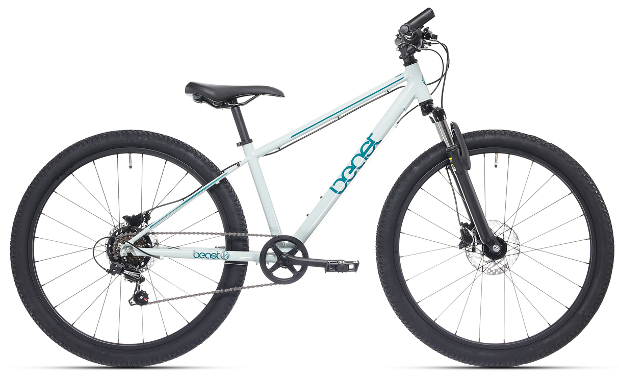 Bikefun Children's Bike 26 The Beast with Disc Brake - Sea-herbrass