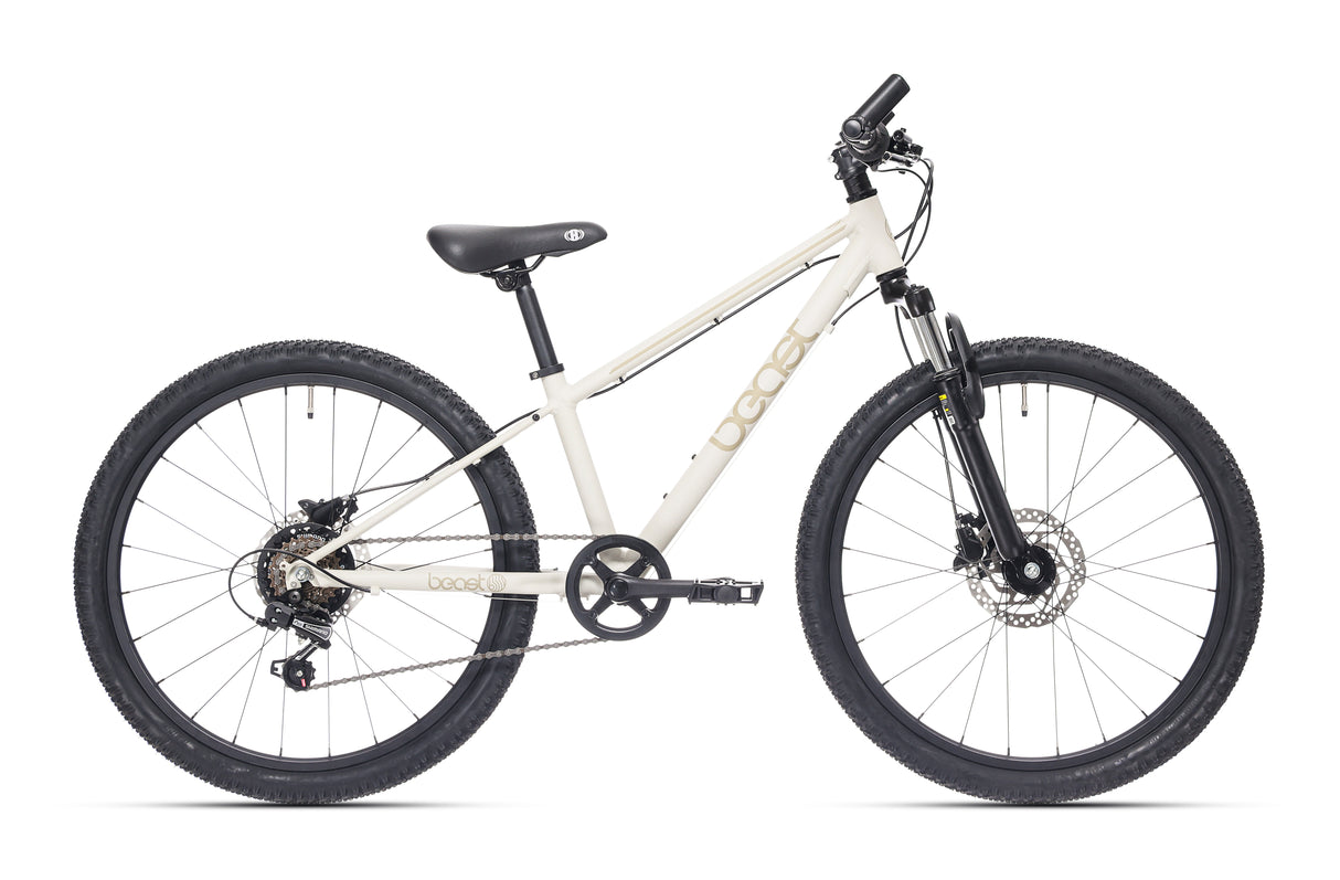 Bikefun zver 26 -palčno kolesa ATB ALU 6V disk zavora prodnata siva