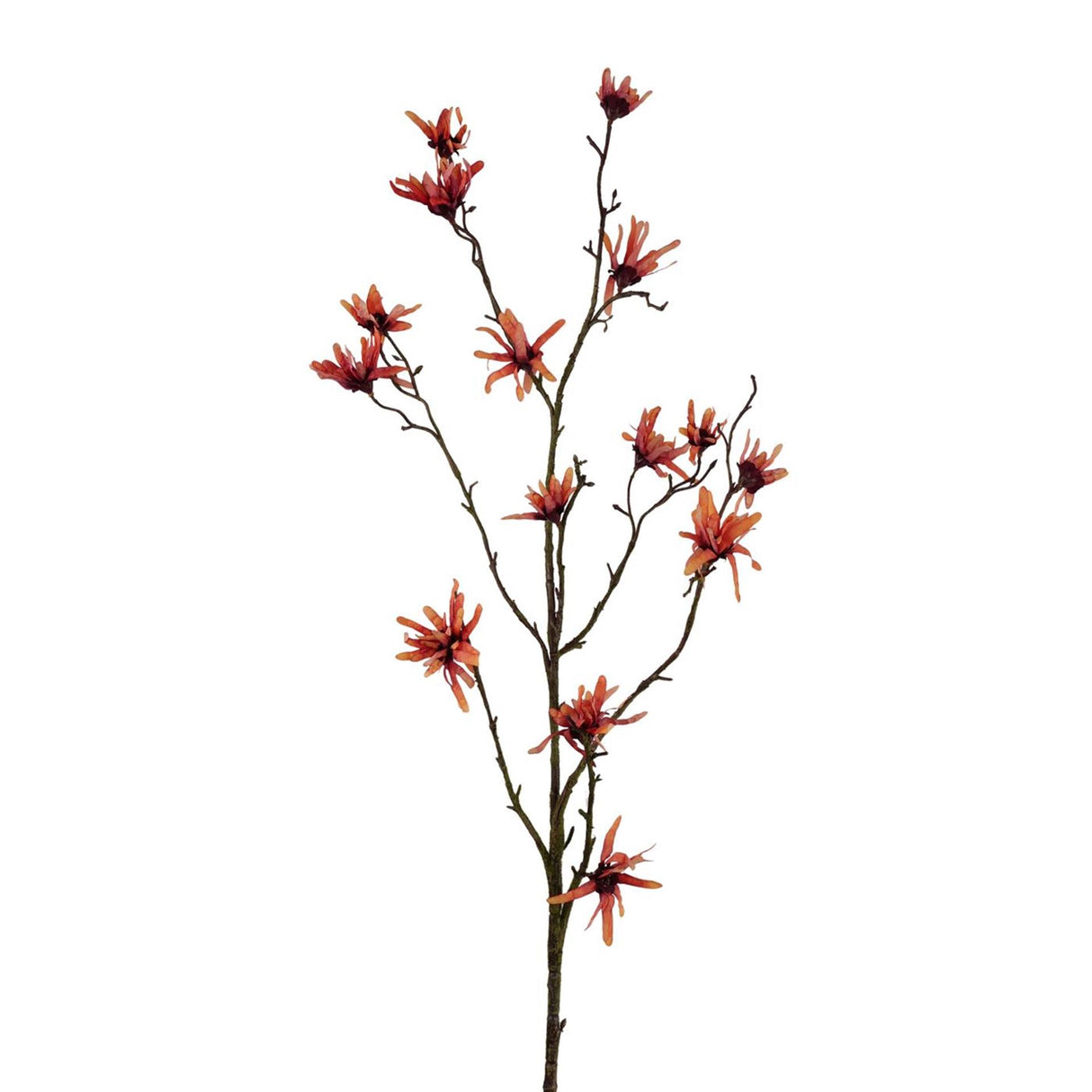 Roberts collection kunstbloem hamamelis oranje 120cm