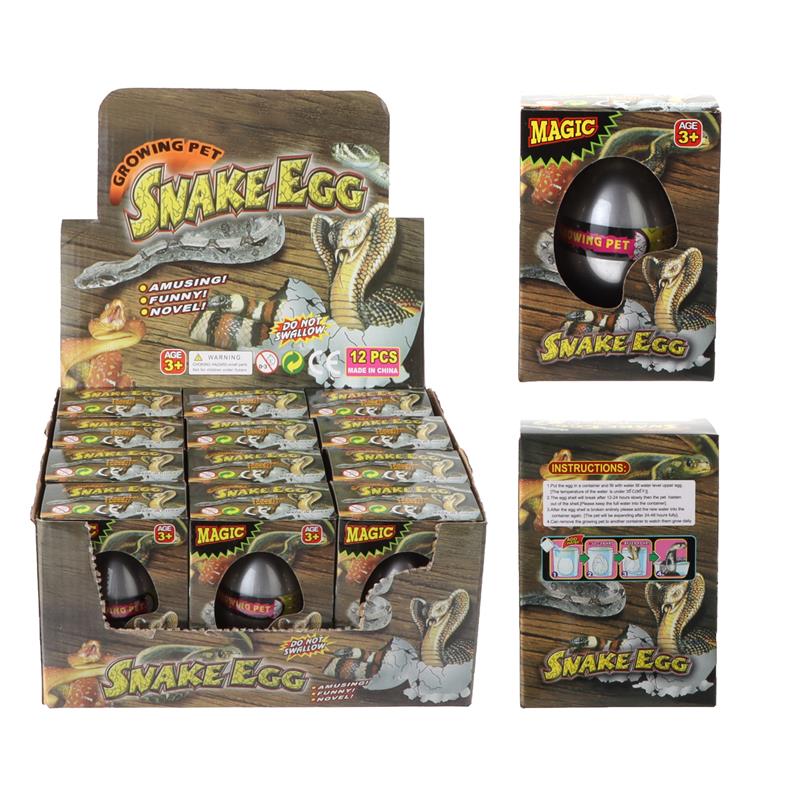 Ovo de crescimento de cobra em caixa