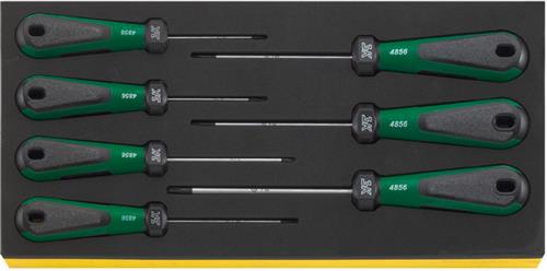 Stahlwille inlay torxschroevendraaiers tcs