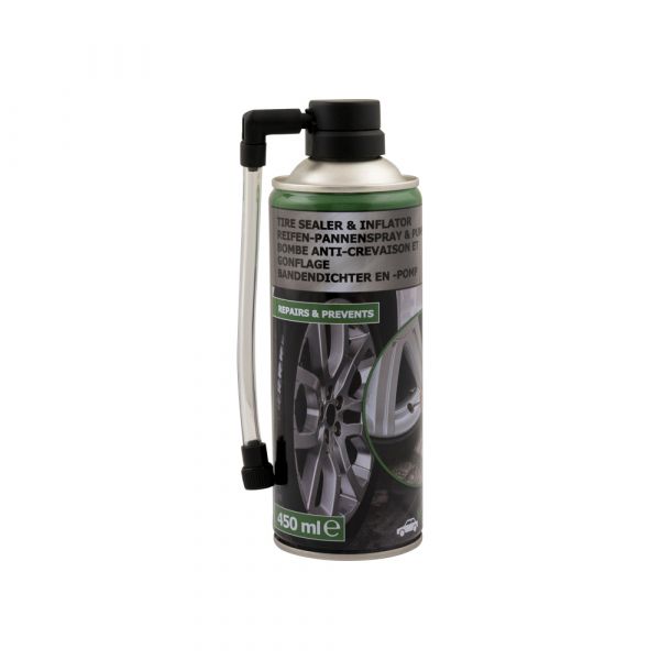 Auto Tand Reparatur 450 ml.
